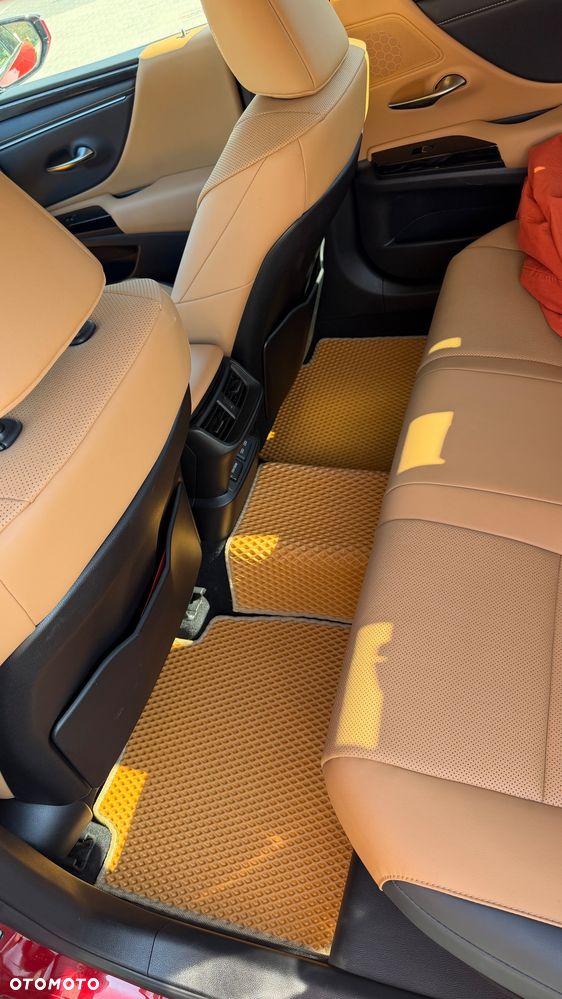 Lexus ES 300h Business Edition - 16