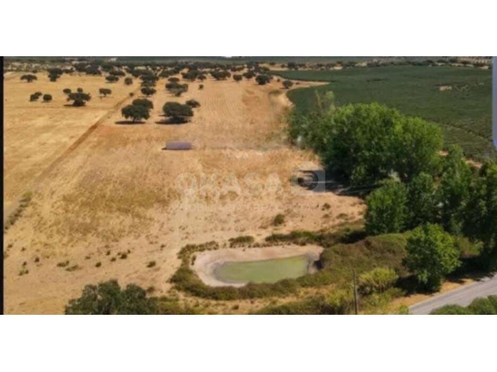 Terreno , Avis, Portalegre - Grande imagem: 3/12