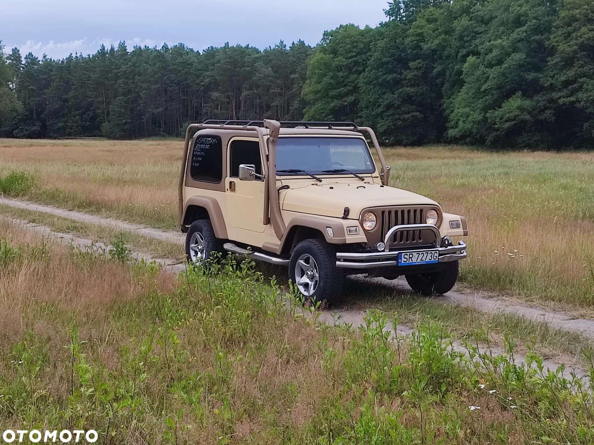 Jeep Wrangler 4.0 Sport - 3