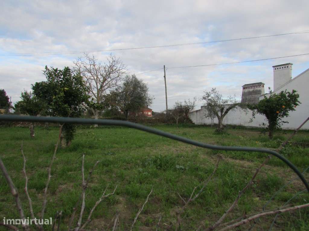 Terreno com 1600m2 com viabilidade de construção - Grande imagem: 2/12
