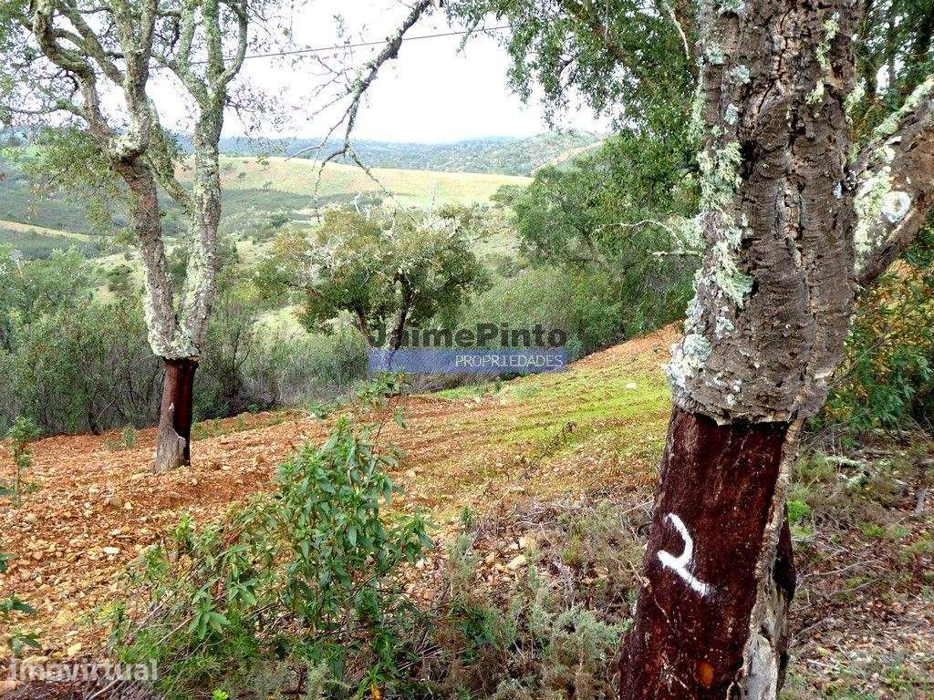 205ha com casa e CORTIÇA, na Serra do Caldeirão. Portugal, Beja, Al... - Grande imagem: 4/7