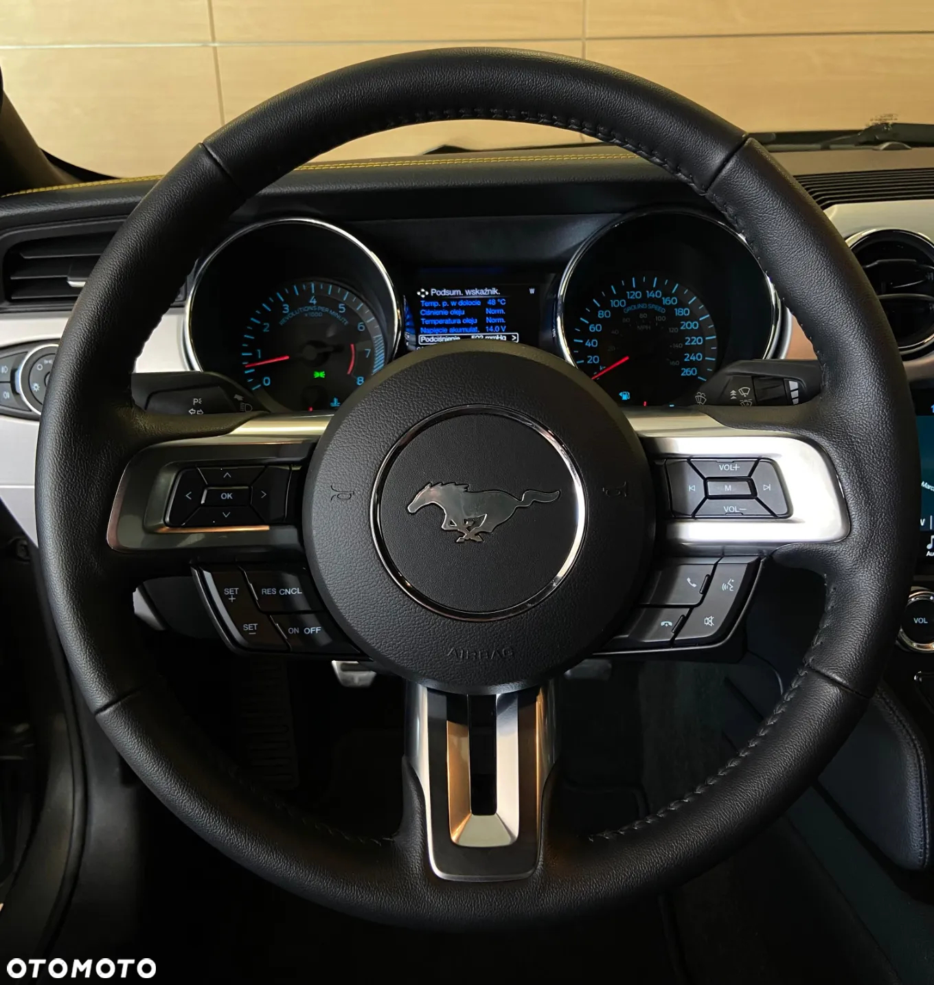 Ford Mustang 5.0 V8 GT - 15