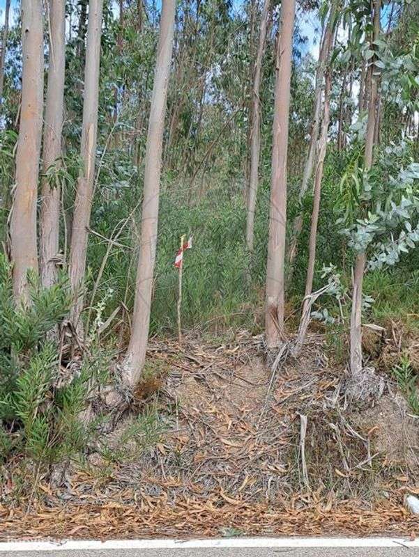 Terreno  para venda - Grande imagem: 3/12