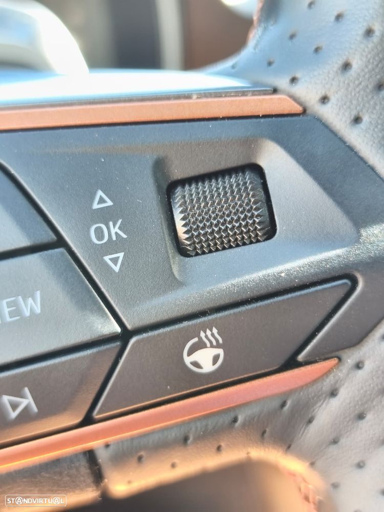 Cupra Formentor 1.5 TSI Plus DSG - 22
