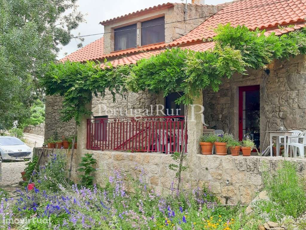 Quinta Rural 8.000 m2 - 2 Casas Habitáveis - confina com Ribeira - Grande imagem: 4/33