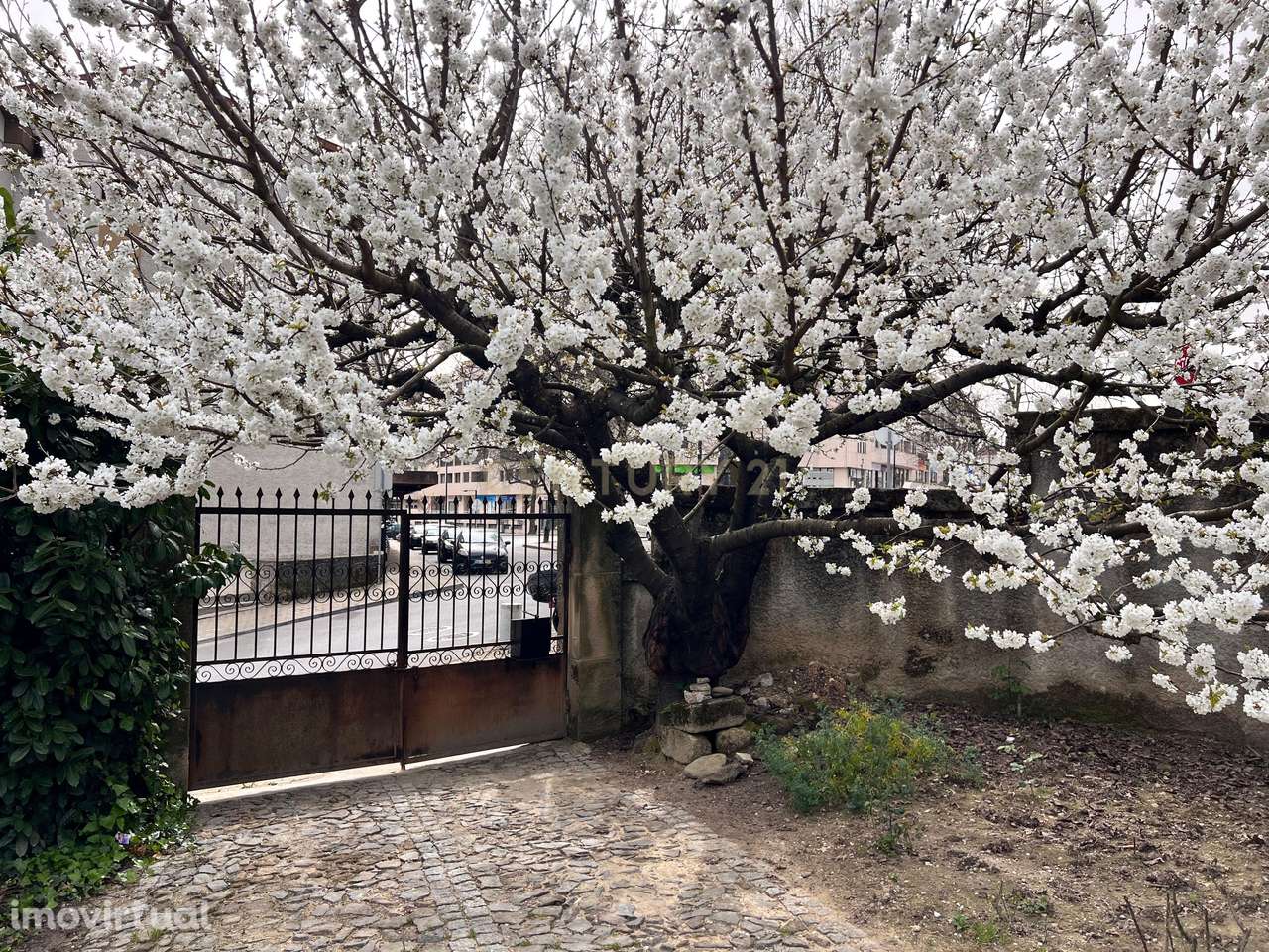 Casa de cinco quartos (T5) com 240m² e terreno de 1370m² no centro de - Grande imagem: 3/34