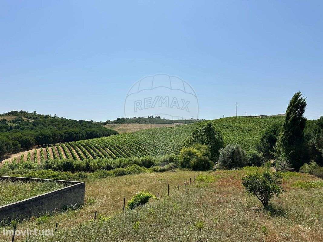 Moradia T3 para venda - Grande imagem: 4/40