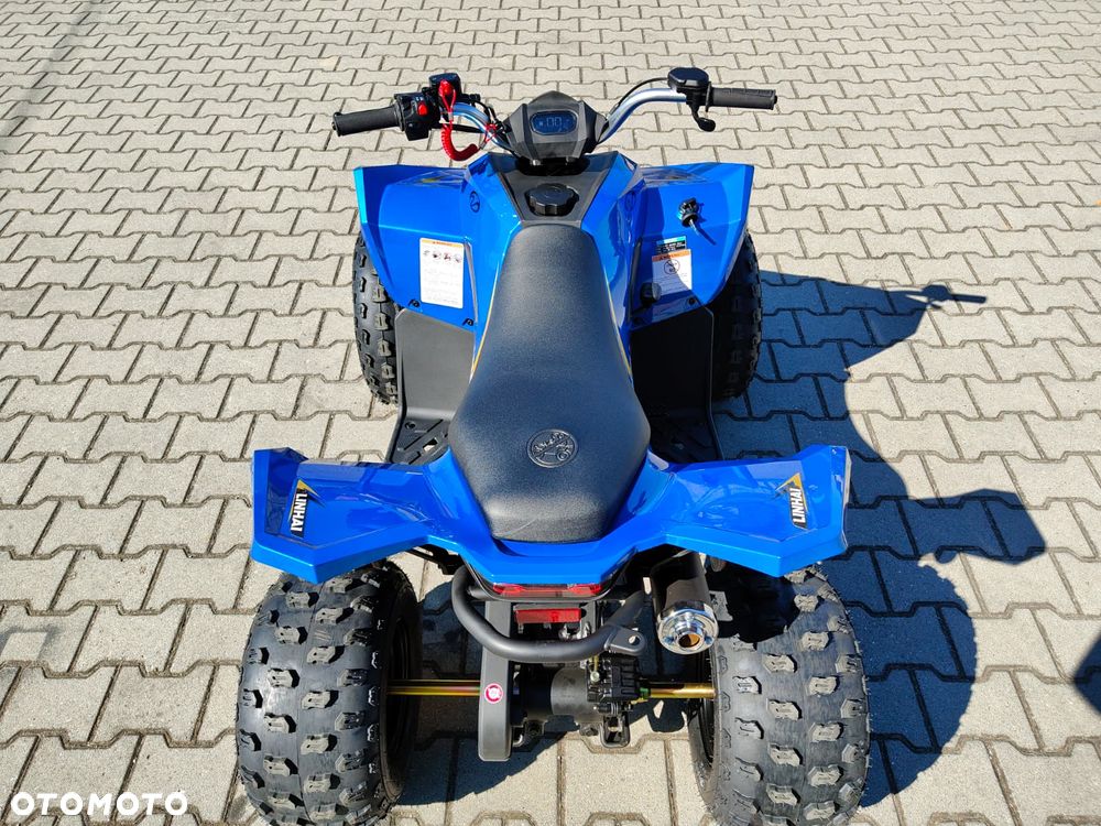 Linhai ATV - 11