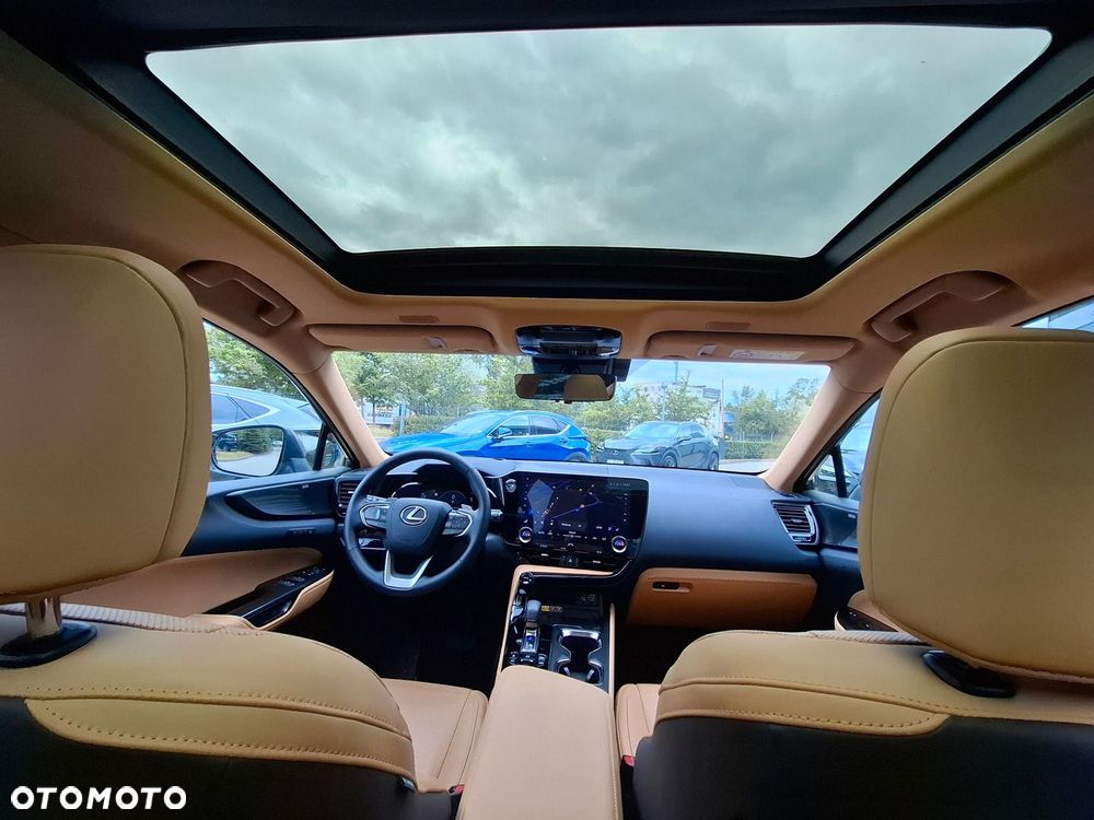 Lexus NX - 28