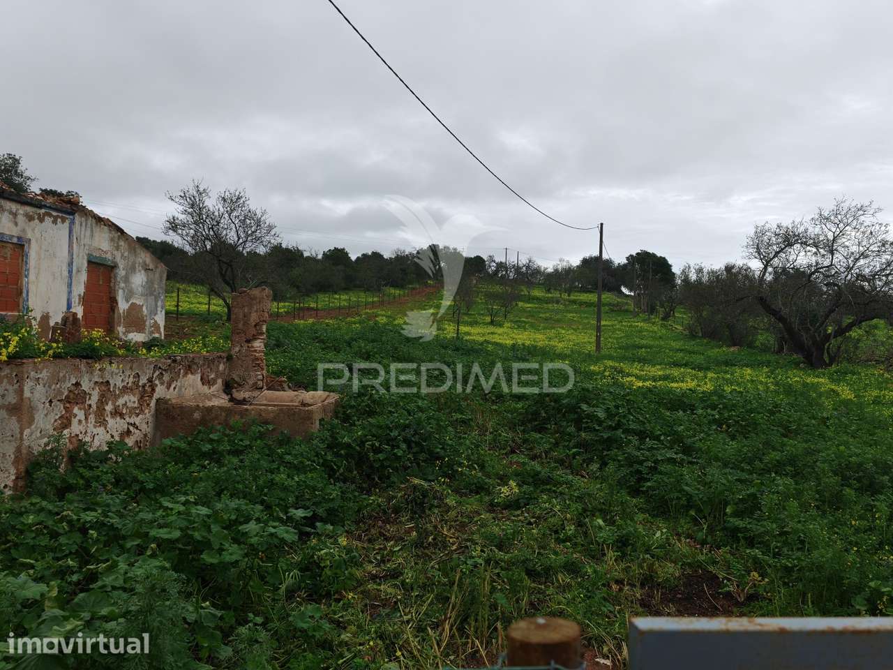 Terreno com 2 ruinas junto ao Rio - Grande imagem: 2/18