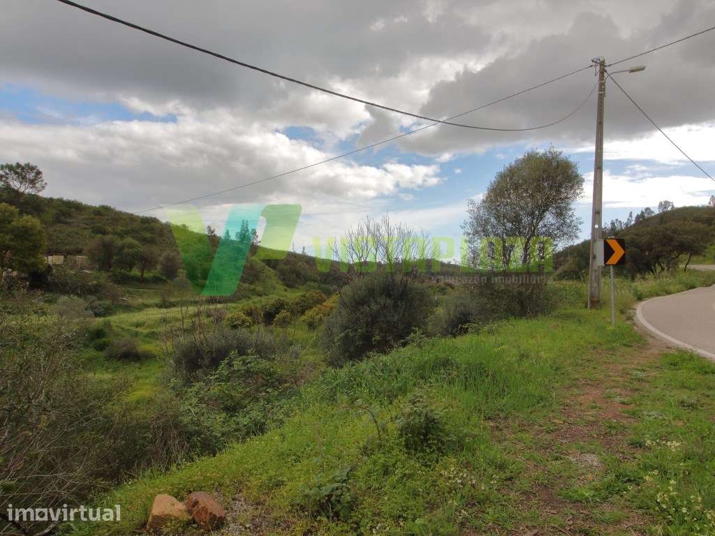 Terreno Rústico Com Água e Energia Elétrica, Mexilhoeira Grande Por... - Grande imagem: 4/15