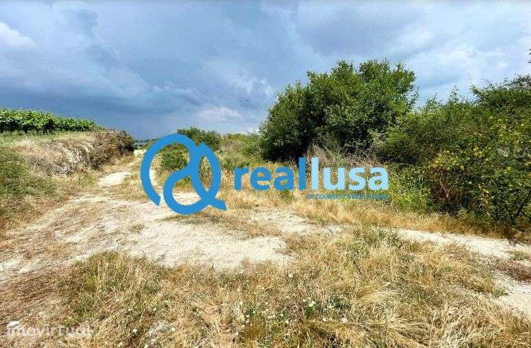 Terreno para construção - Grande imagem: 2/4