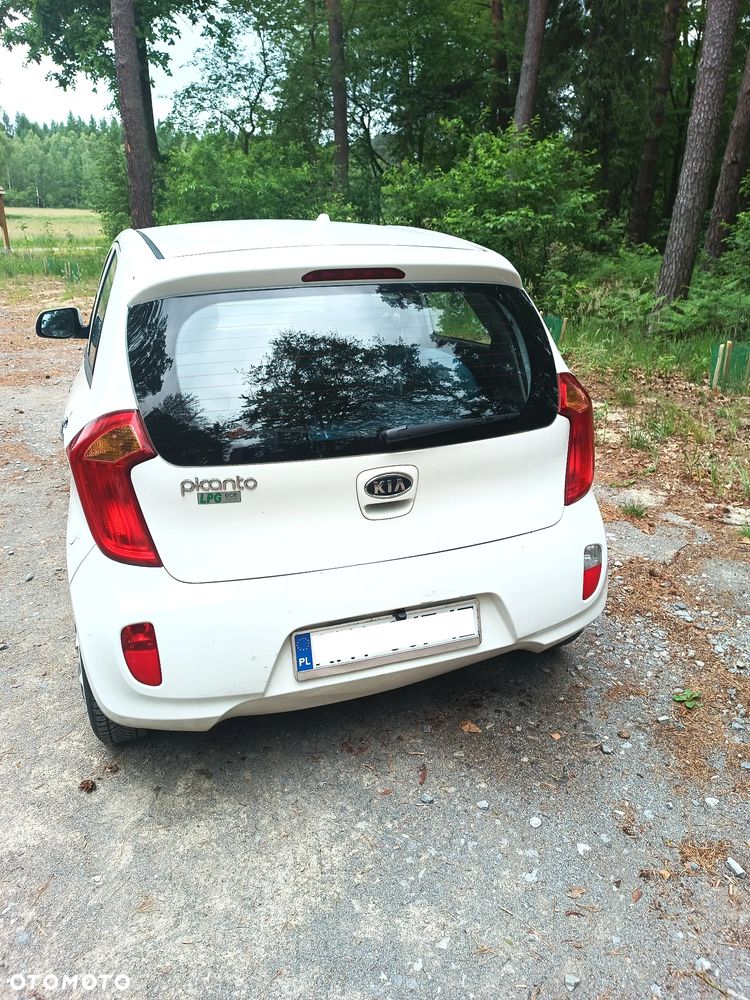 Kia Picanto 1.0 L - 3