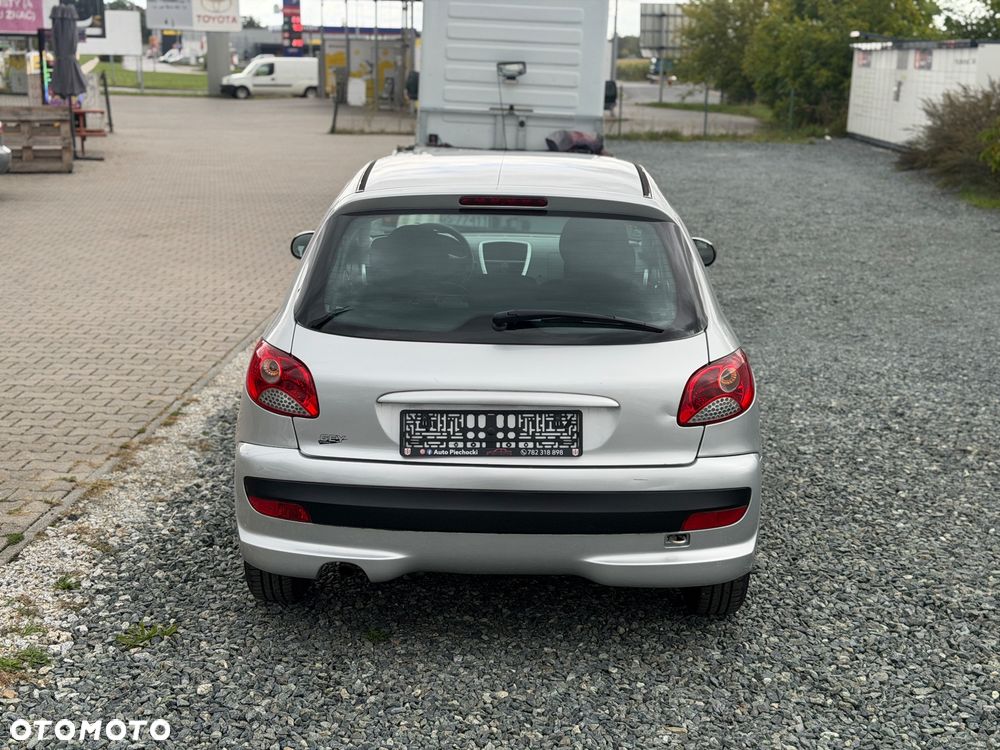 Peugeot 206 - 17