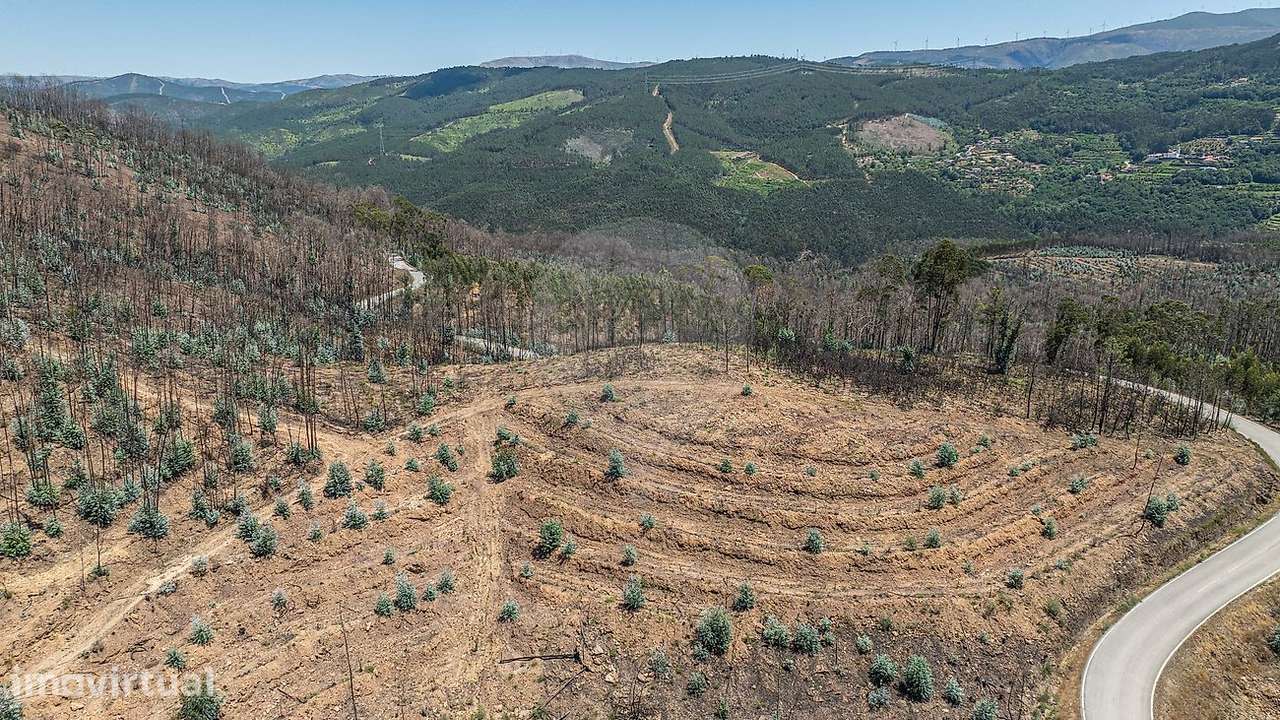 Terreno  para venda - Grande imagem: 5/12