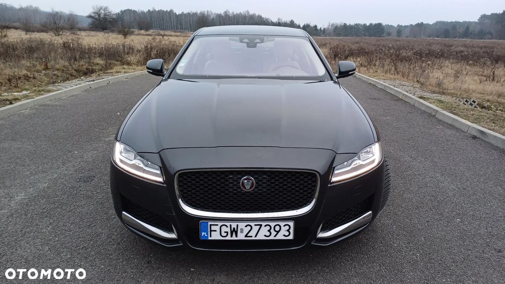 Jaguar XF 20d AWD Prestige - 6