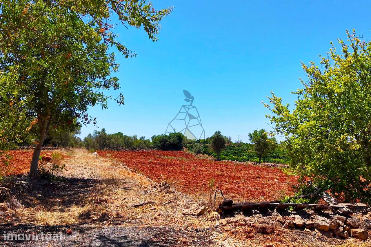 Terreno Rustico em Montes Grandes - Silves - Grande imagem: 5/16