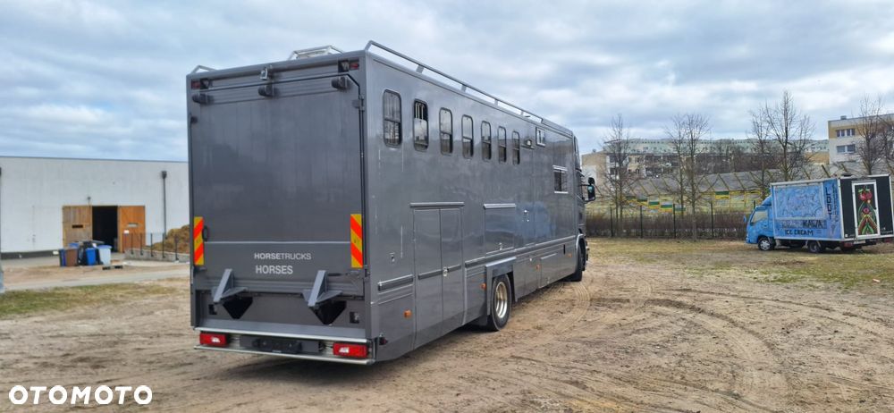 Scania Koniowóz 7-koni + living - 10