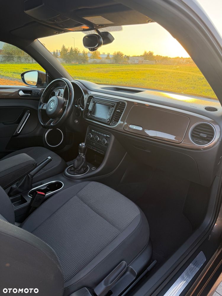 Volkswagen Beetle - 17