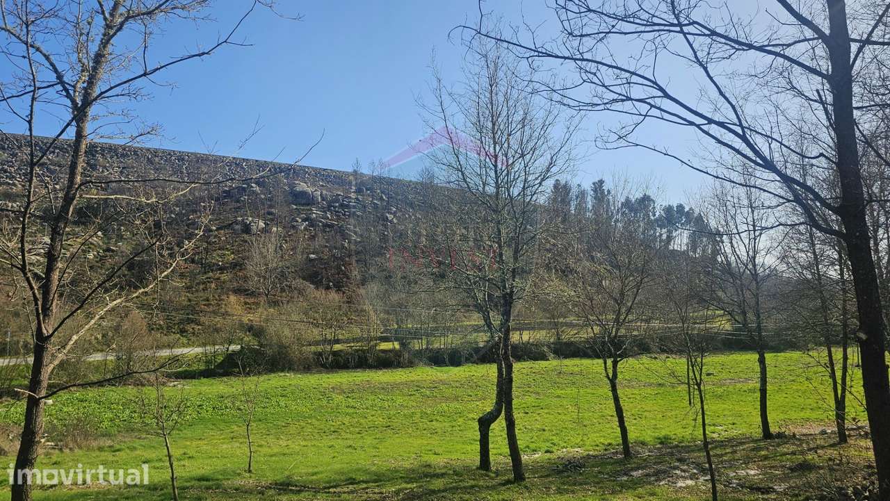 Terreno  Venda em Mamouros, Alva e Ribolhos,Castro Daire - Grande imagem: 4/9
