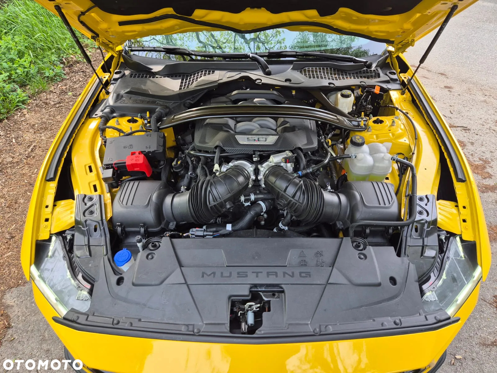 Ford Mustang Fastback 5.0 Ti-VCT V8 GT - 4