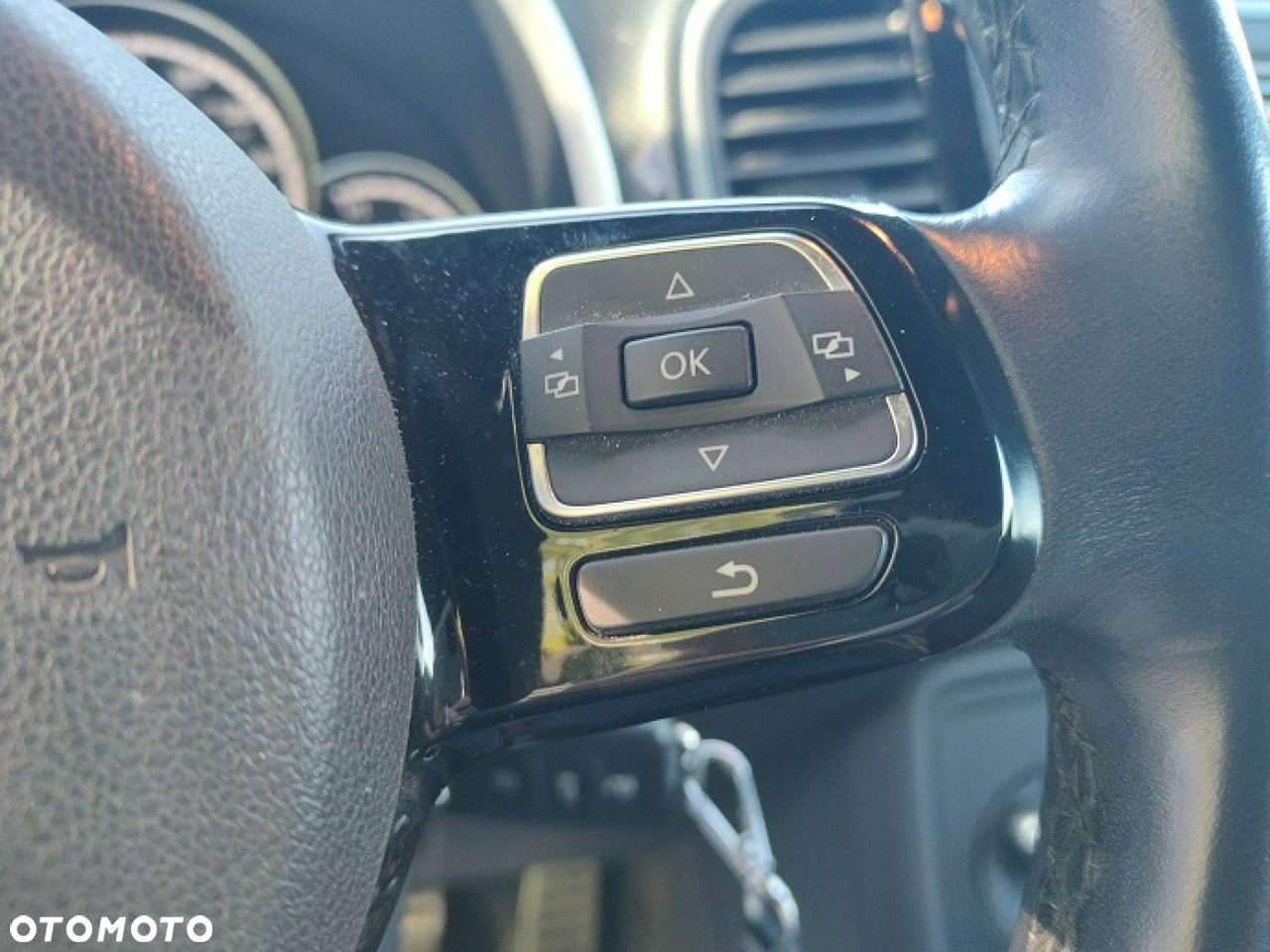 Volkswagen Beetle - 21