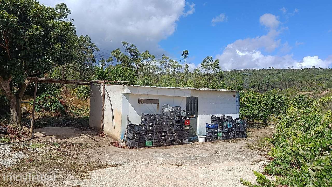 Terreno  para venda - Grande imagem: 5/38