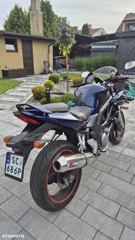 Suzuki SV - 6