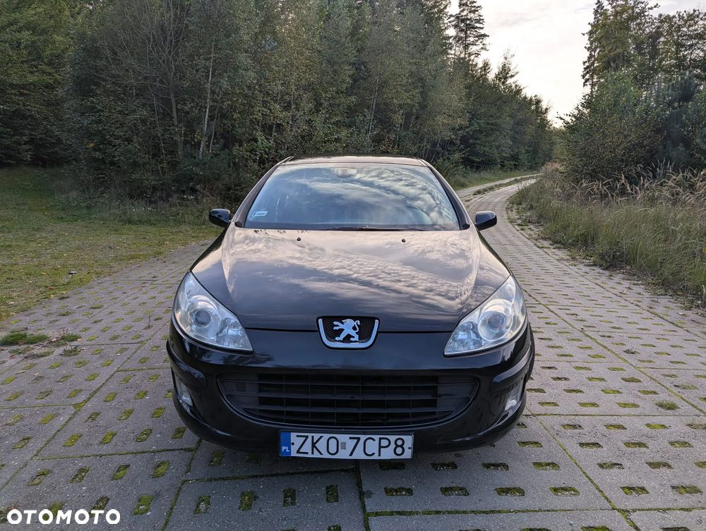 Peugeot 407 - 11