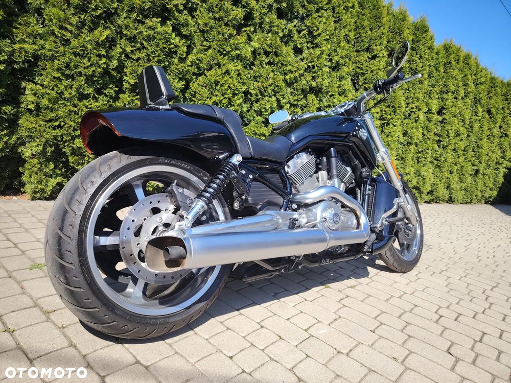 Harley-Davidson V-Rod Muscle - 3