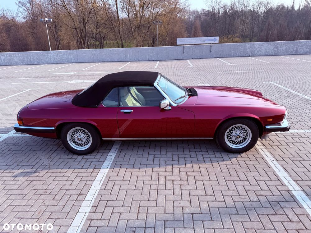 Jaguar XJS - 11