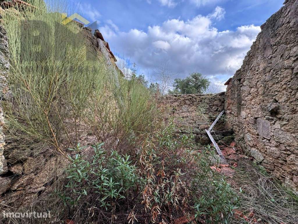 Quinta com 13.750m2 para venda em Cafede! - Grande imagem: 5/15