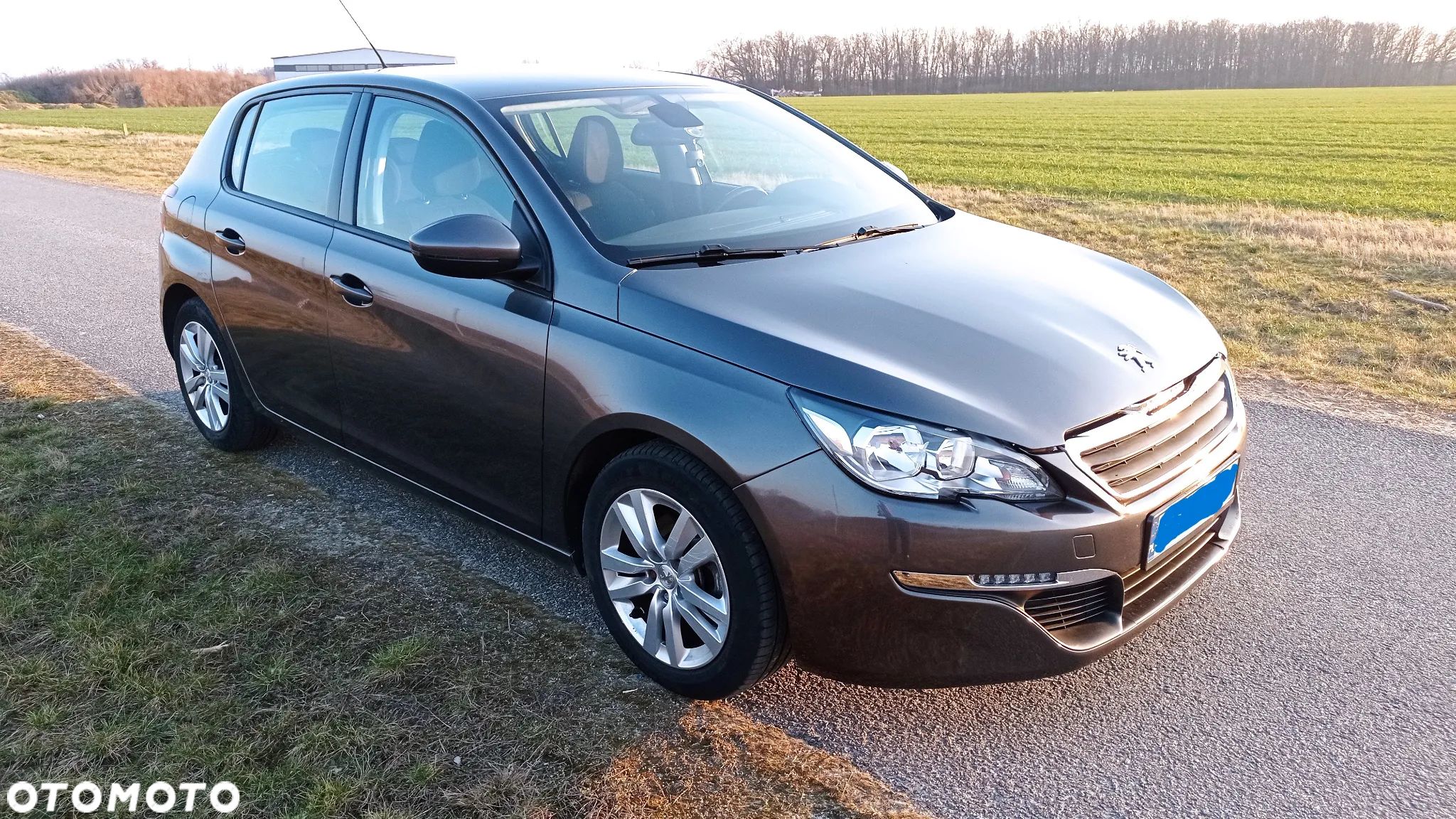 Peugeot 308 BlueHDi FAP 120 Stop & Start Active - 1