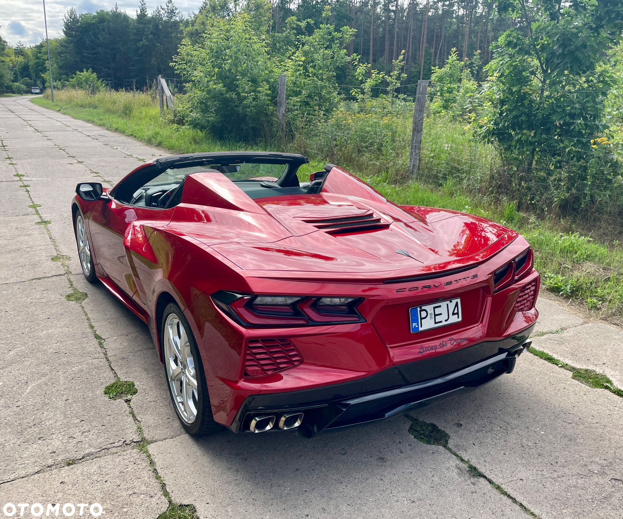 Chevrolet Corvette Stingray 3LT 6.2 V8 Cabrio Automatik - 3