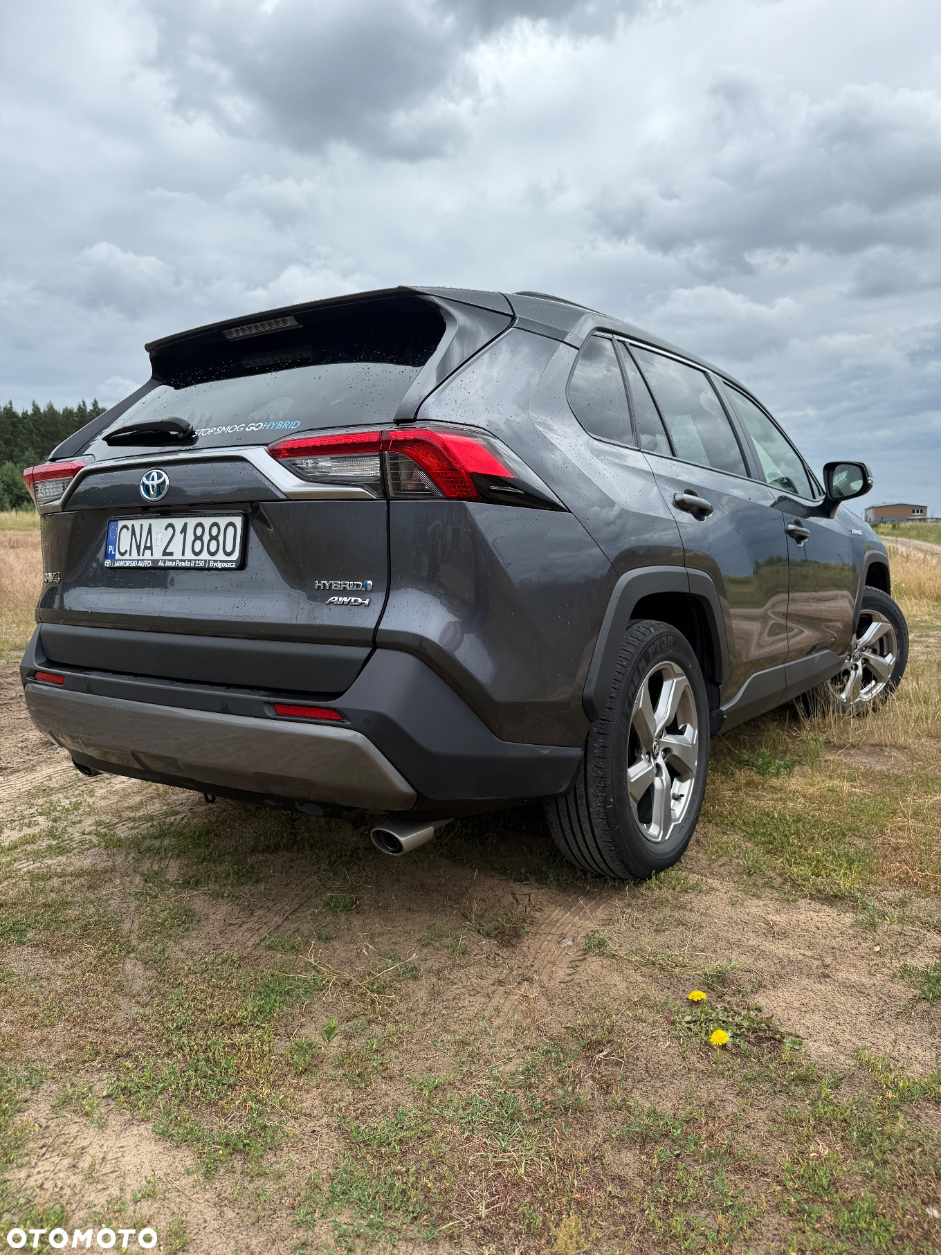 Toyota RAV4 - 5