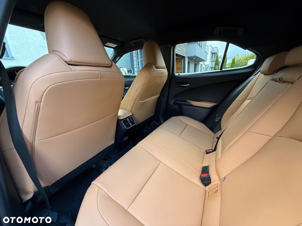 Lexus UX 250h GPF F Sport Design+ 2WD - 31