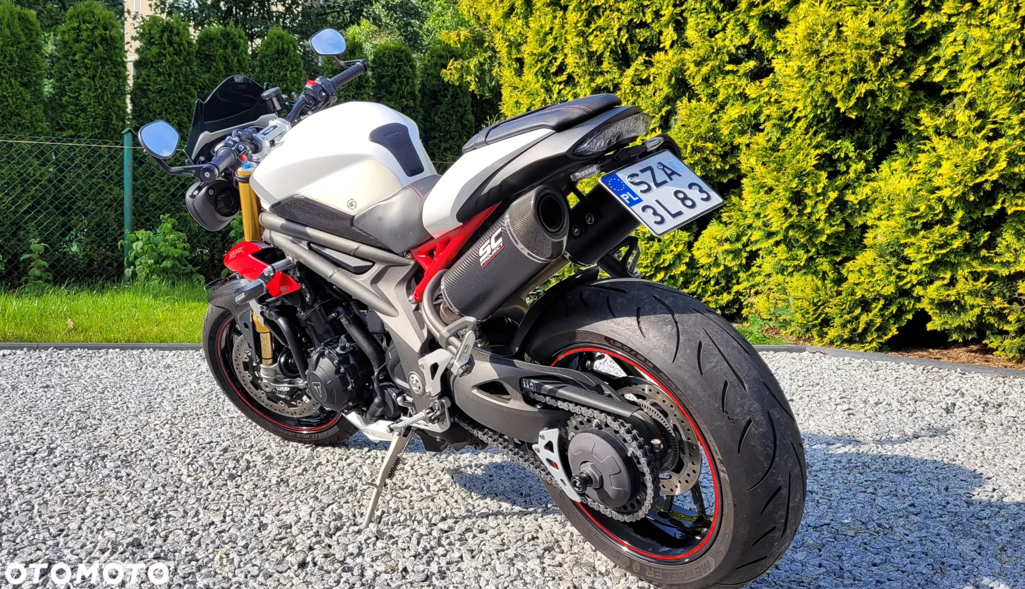 Triumph Speed Triple - 7