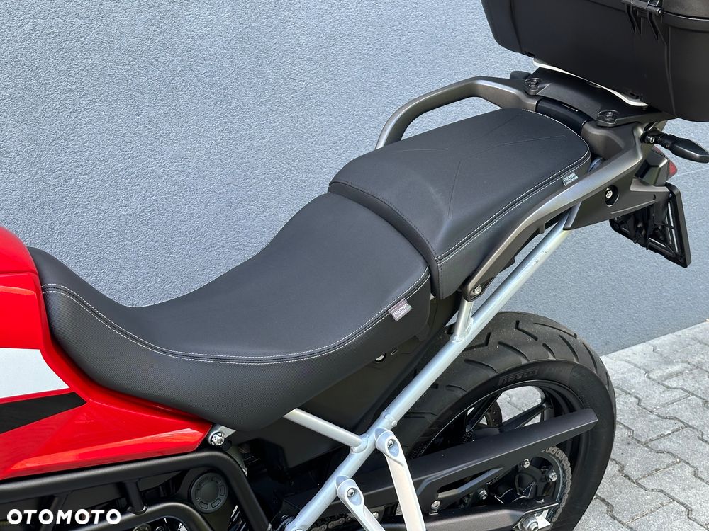 Triumph Tiger - 21