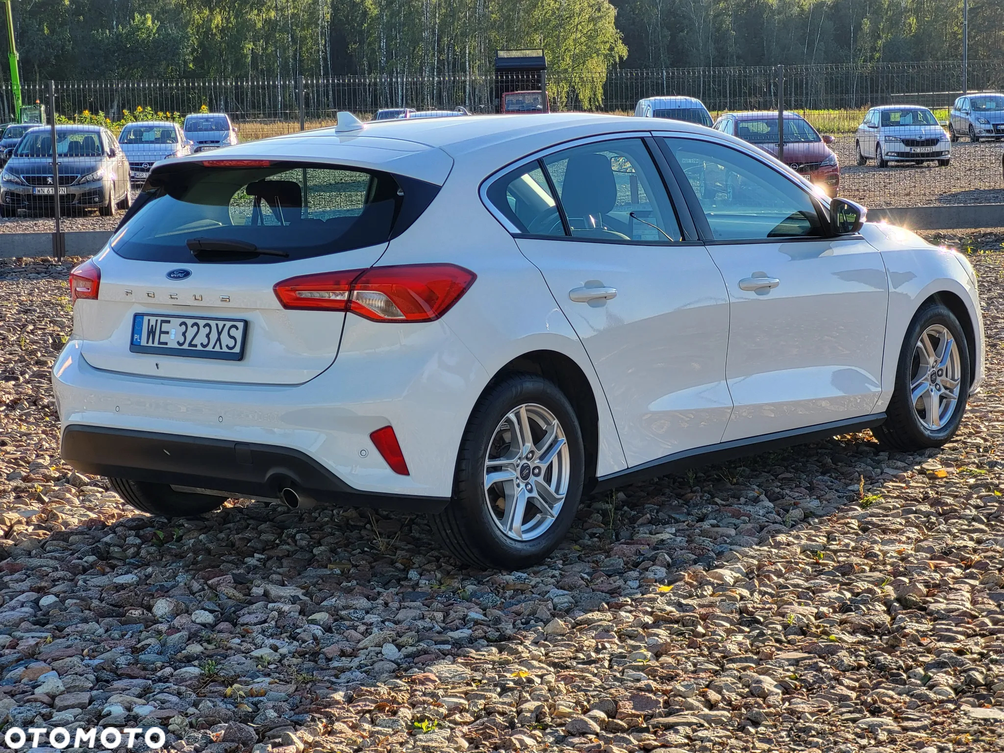 Ford Focus 1.5 EcoBlue Trend Edition - 6