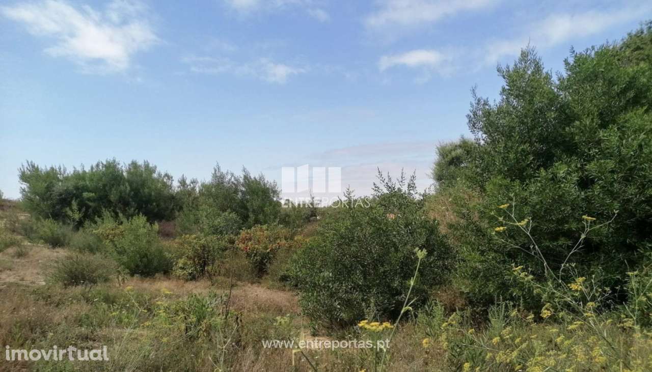 Venda de Terreno de construção, Vila Nova de Anha, Viana do Castelo - Grande imagem: 5/29