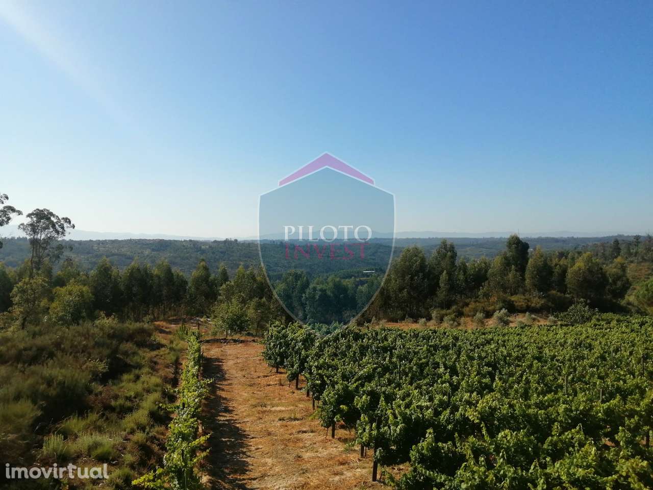 Quinta  Venda em Silgueiros,Viseu - Grande imagem: 2/24