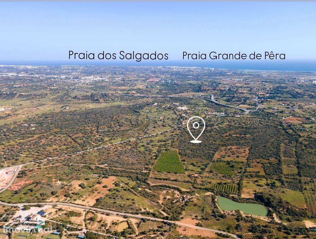 Oportunidade Única no Algarve: Quinta com Potencial para Hotel Rural / - Grande imagem: 3/15