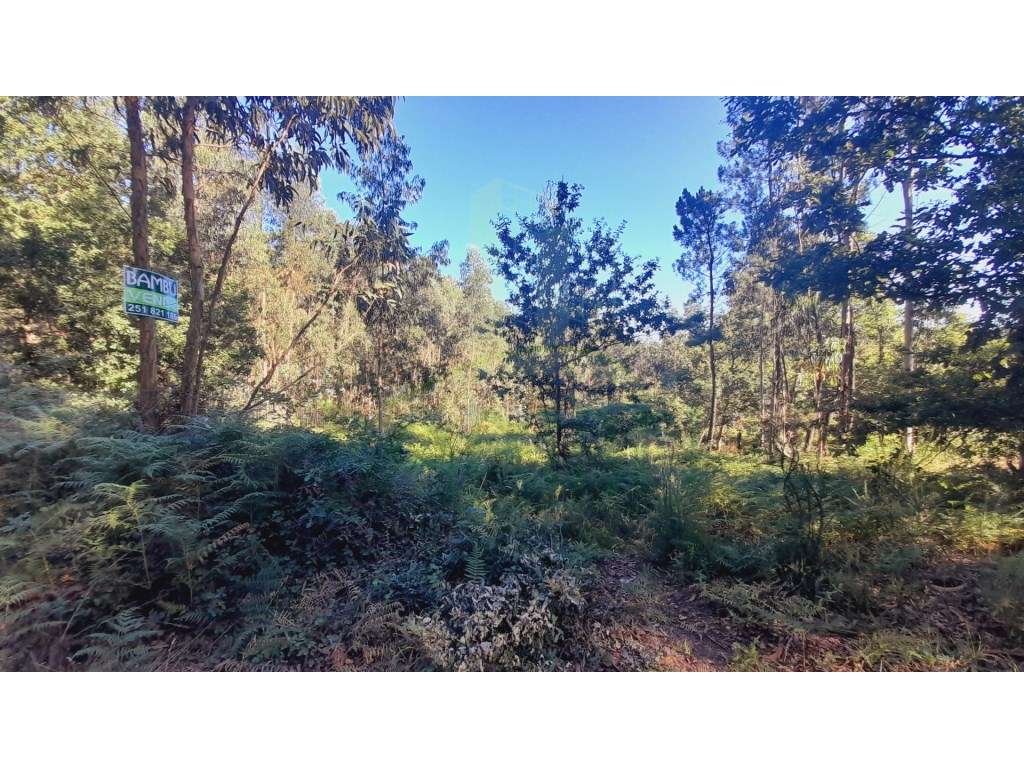 Terreno para construção - Grande imagem: 5/6