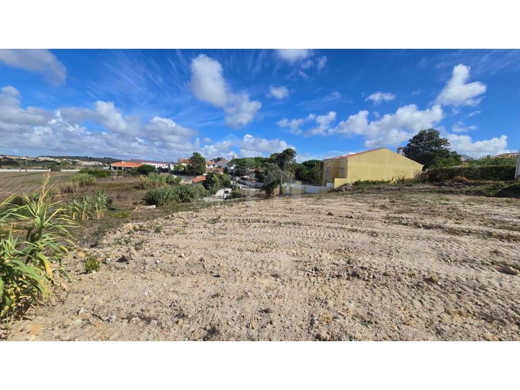 Vende Terreno - Ericeira 4 km, A Casa das Casas - Grande imagem: 5/10