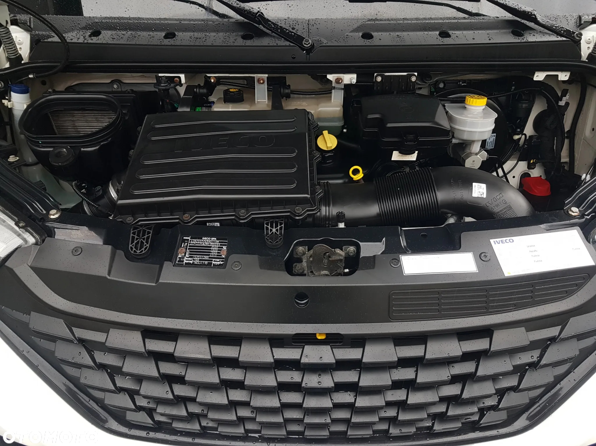 Iveco DAILY KONTENER NISKOPODŁOGOWY 4,43x2,23x2,42 SKLEP FOODTRUCK BAR KLIMA KONIOWÓZ KAMPER - 14