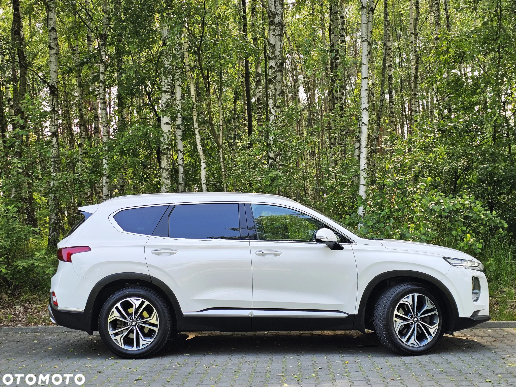 Hyundai Santa Fe 2.0 CRDi Platinum 4WD 7os - 10