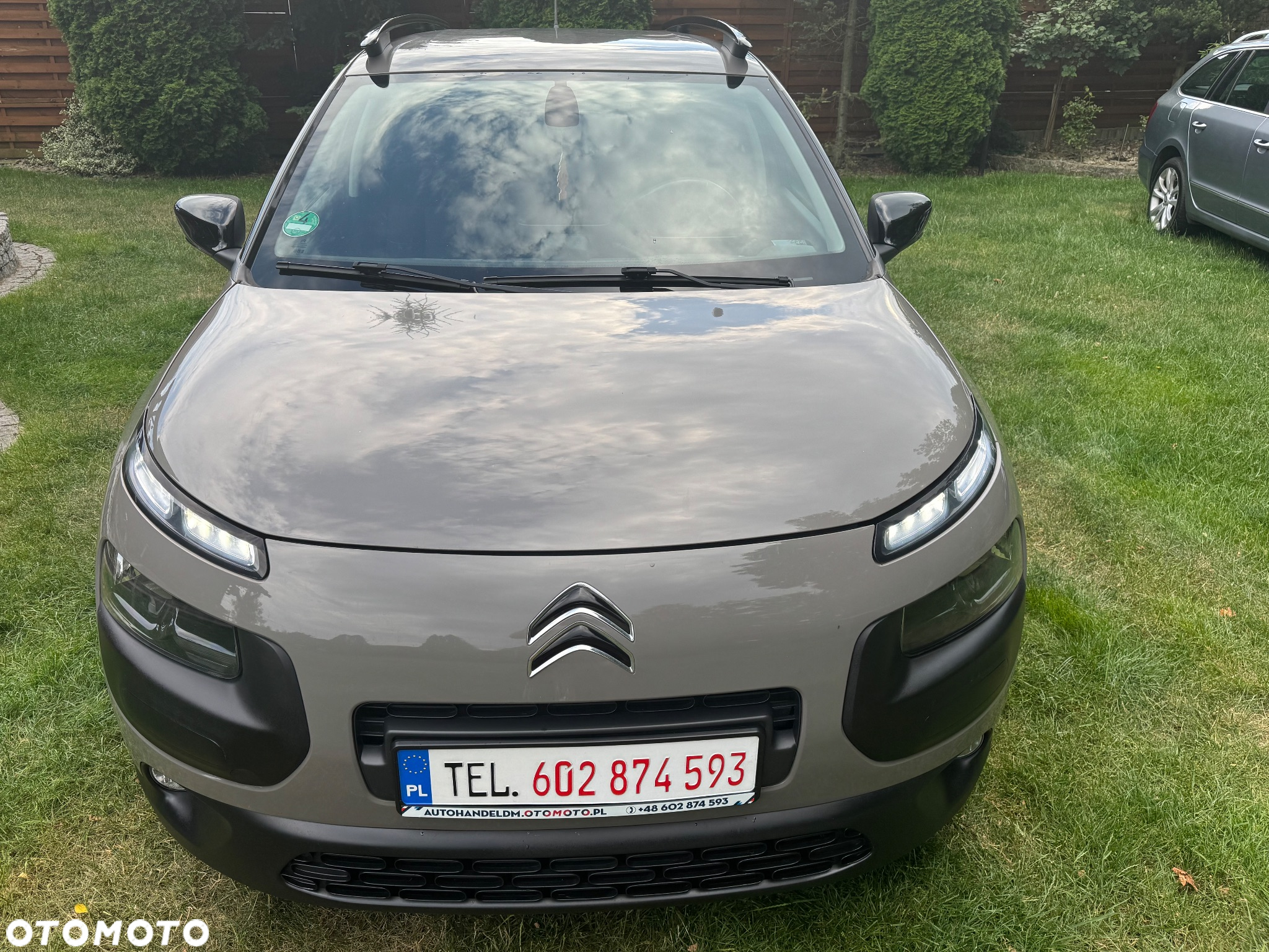 Citroën C4 Cactus 1.6 Blue HDi Shine ETG - 2
