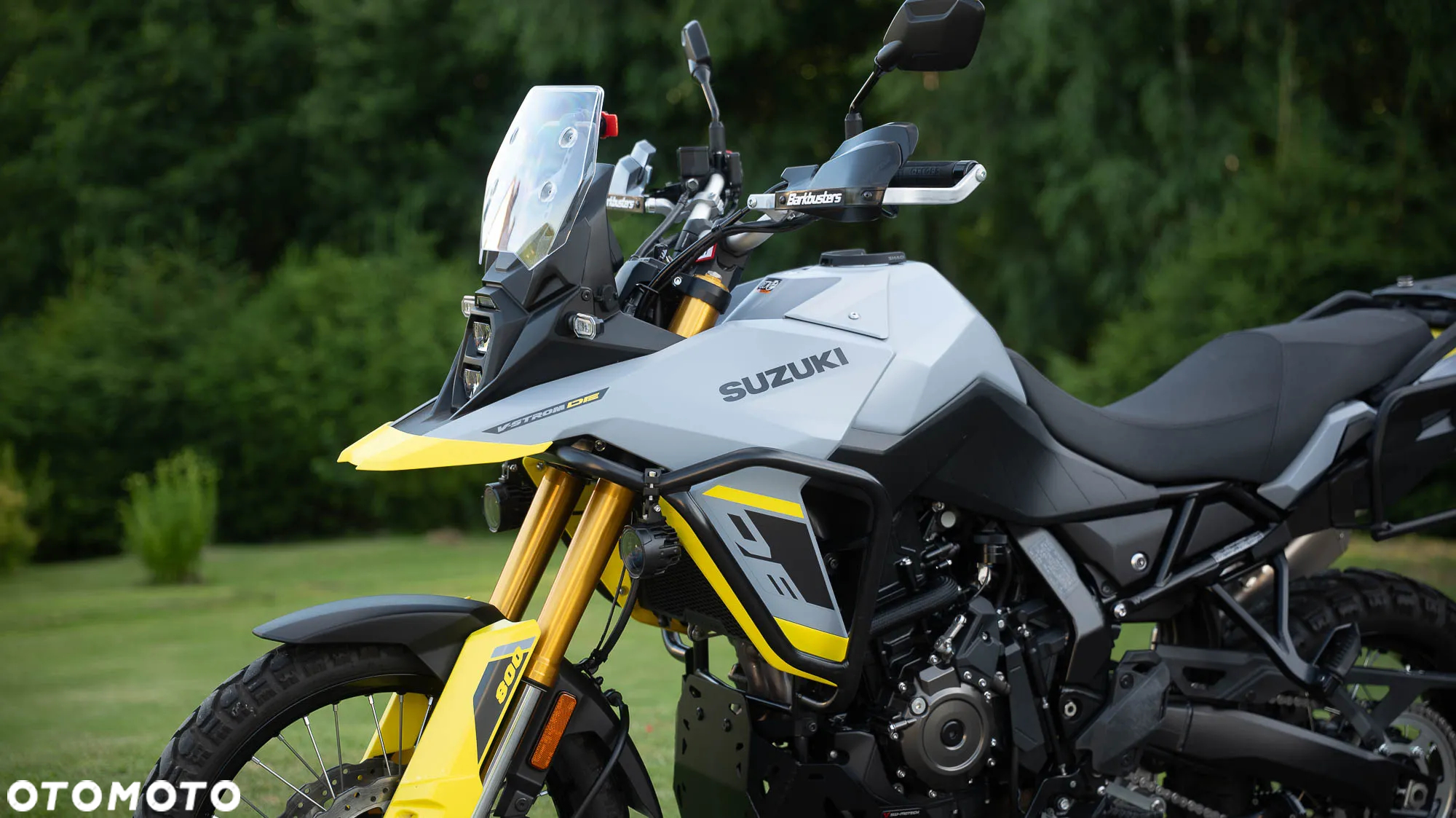 Suzuki V-STROM - 4