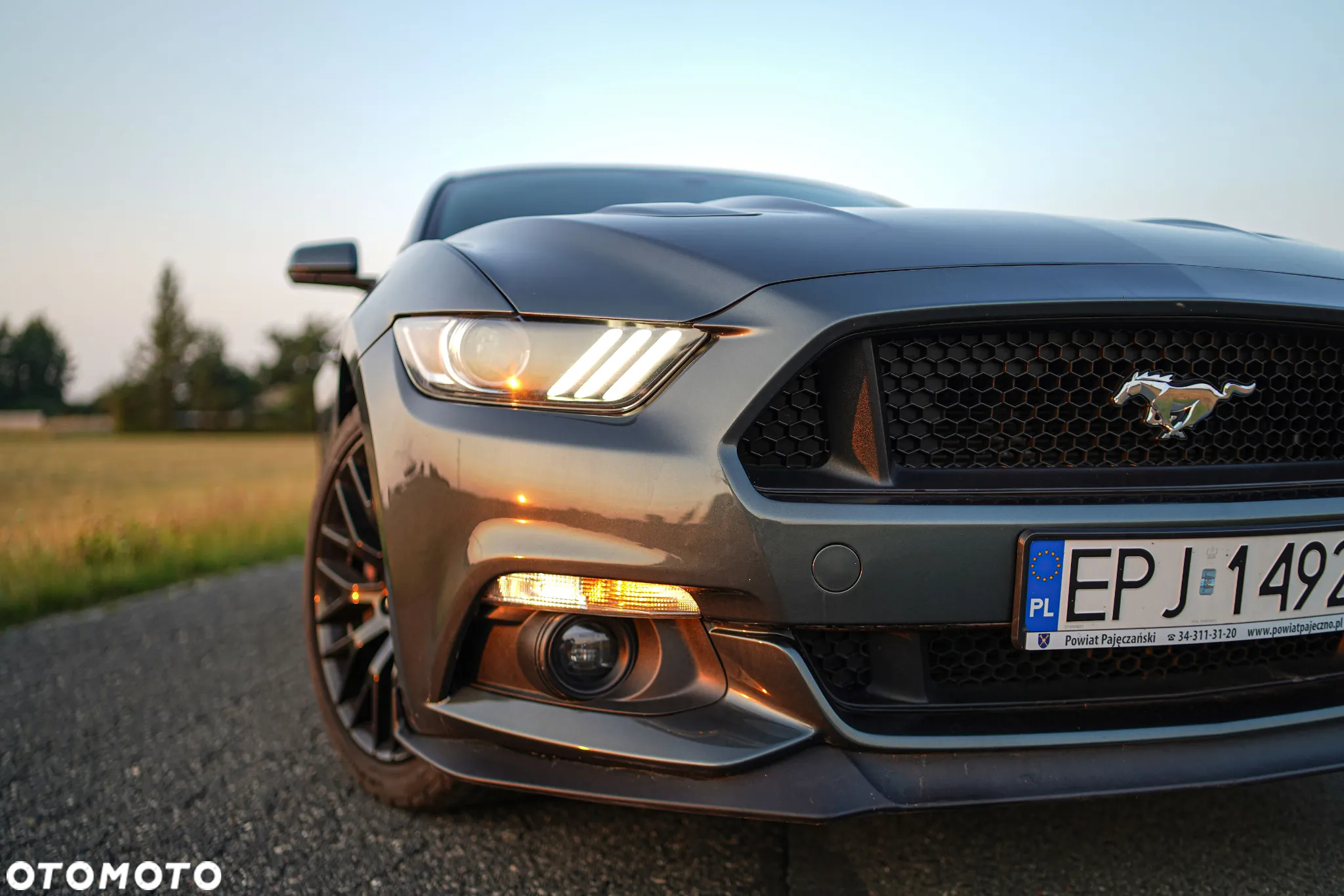 Ford Mustang 5.0 V8 GT - 4