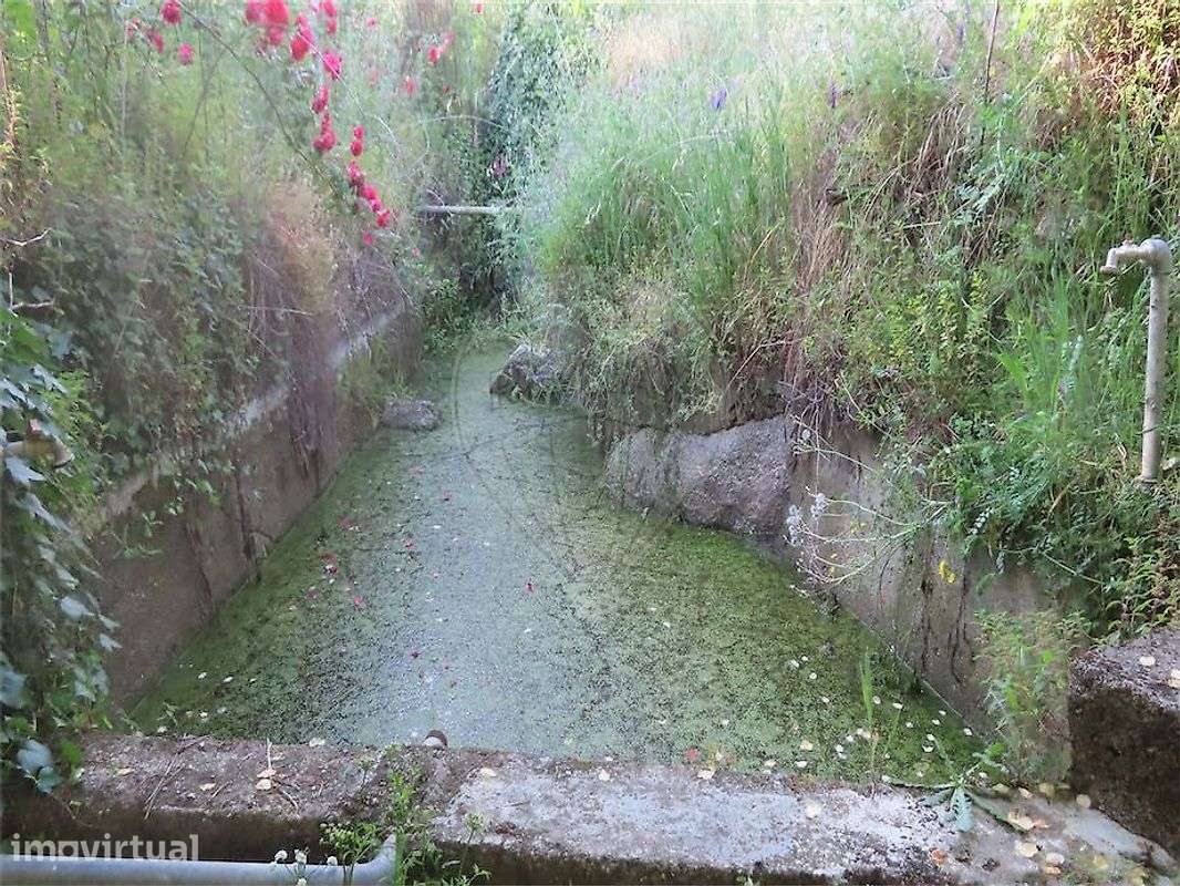 Quinta  para venda - Grande imagem: 2/50